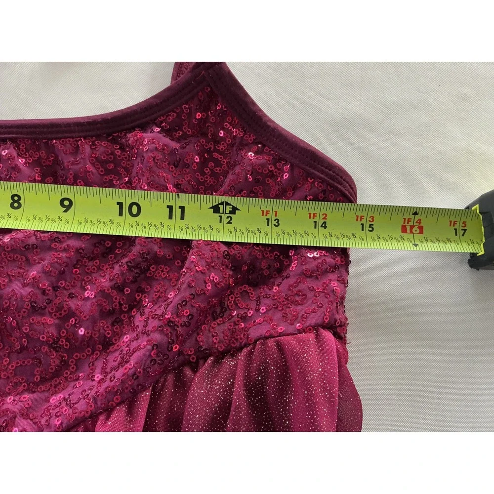 A Wish Come‎ True Ombré Glitter Sequin Assym Chiffon Dance Skating Costume